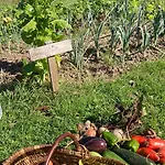 Holiday home Simples Escales : Nature, Detente Et Sauna