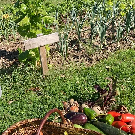 Prázdninový dům Simples Escales : Nature, Detente Et Sauna