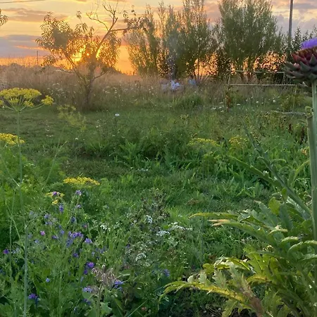 펜션 Simples Escales : Nature, Detente Et Sauna *